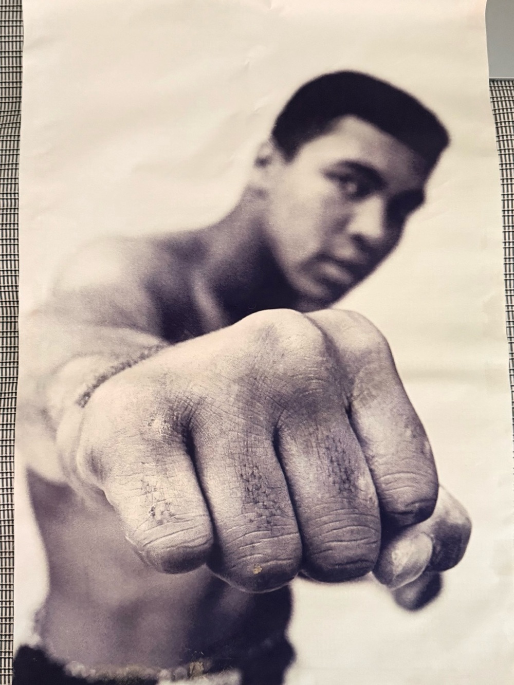 Muhammad Ali Punch Fist B/W Art Print Poster Boxing